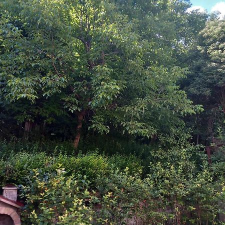 Apartman Turkana 2 SJJ Esterno foto
