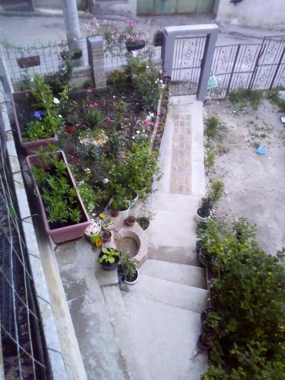 Apartman Turkana 2 SJJ Esterno foto